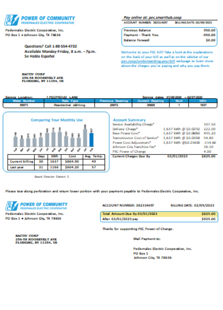 Download Texas Power of Community electricity utility business bill,  SCR Photoshop template